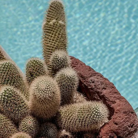 Evgenia & By Calm Collection Fira (Santorini)