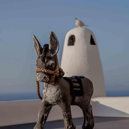 Evgenia & By Calm Collection Отель