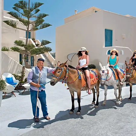 Evgenia & By Calm Collection 2*