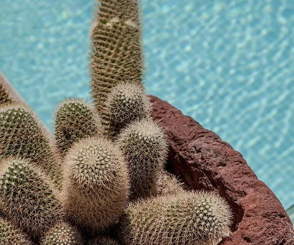 Evgenia & By Calm Collection 费拉