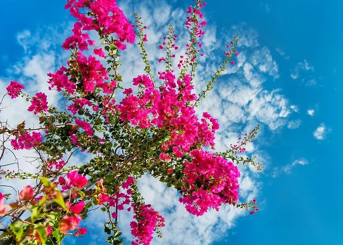 酒店 Evgenia & By Calm Collection 2*